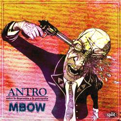 Entre la Depresión y la Psicopatia